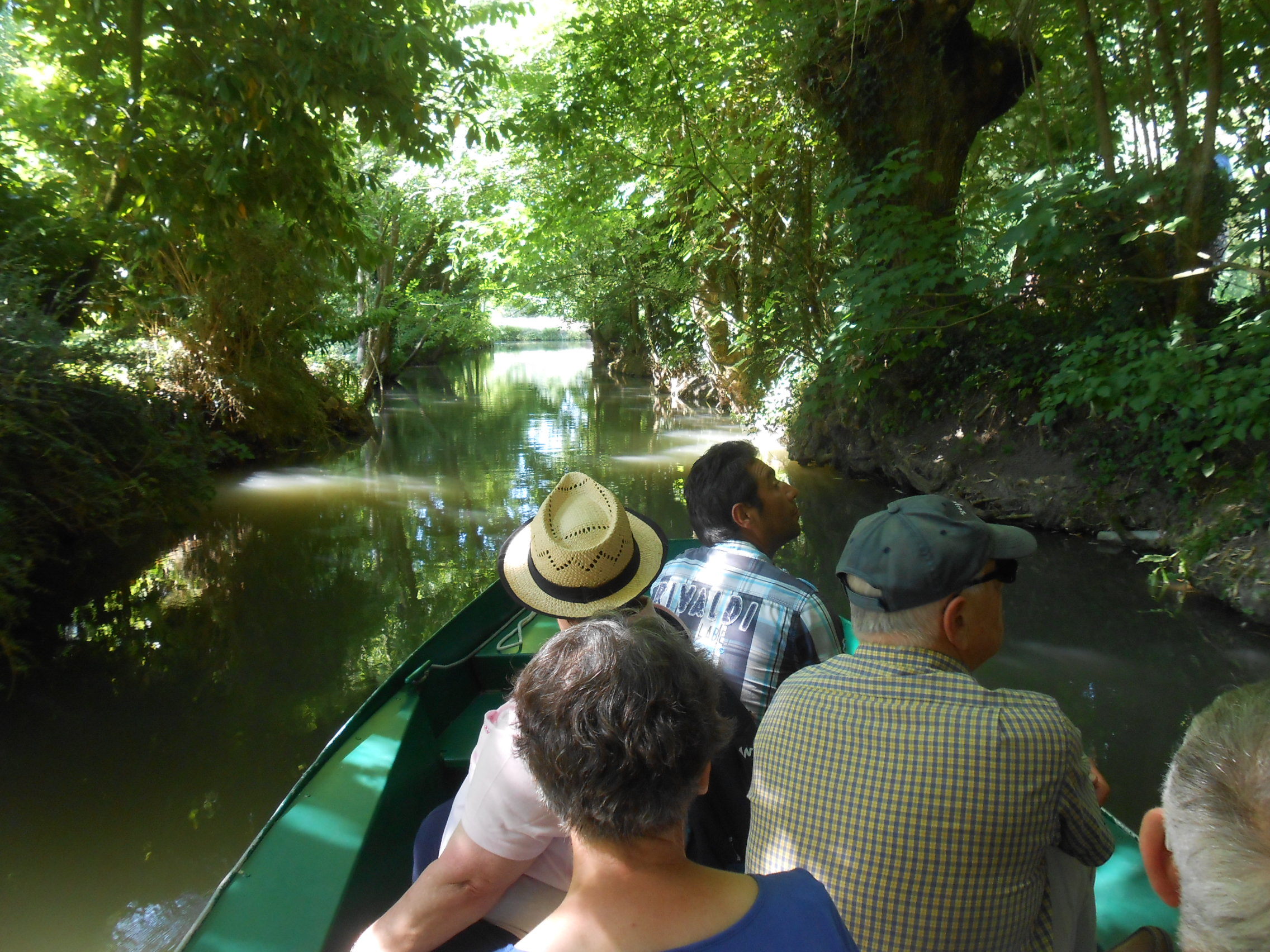 Voyage au Marais Poitevin