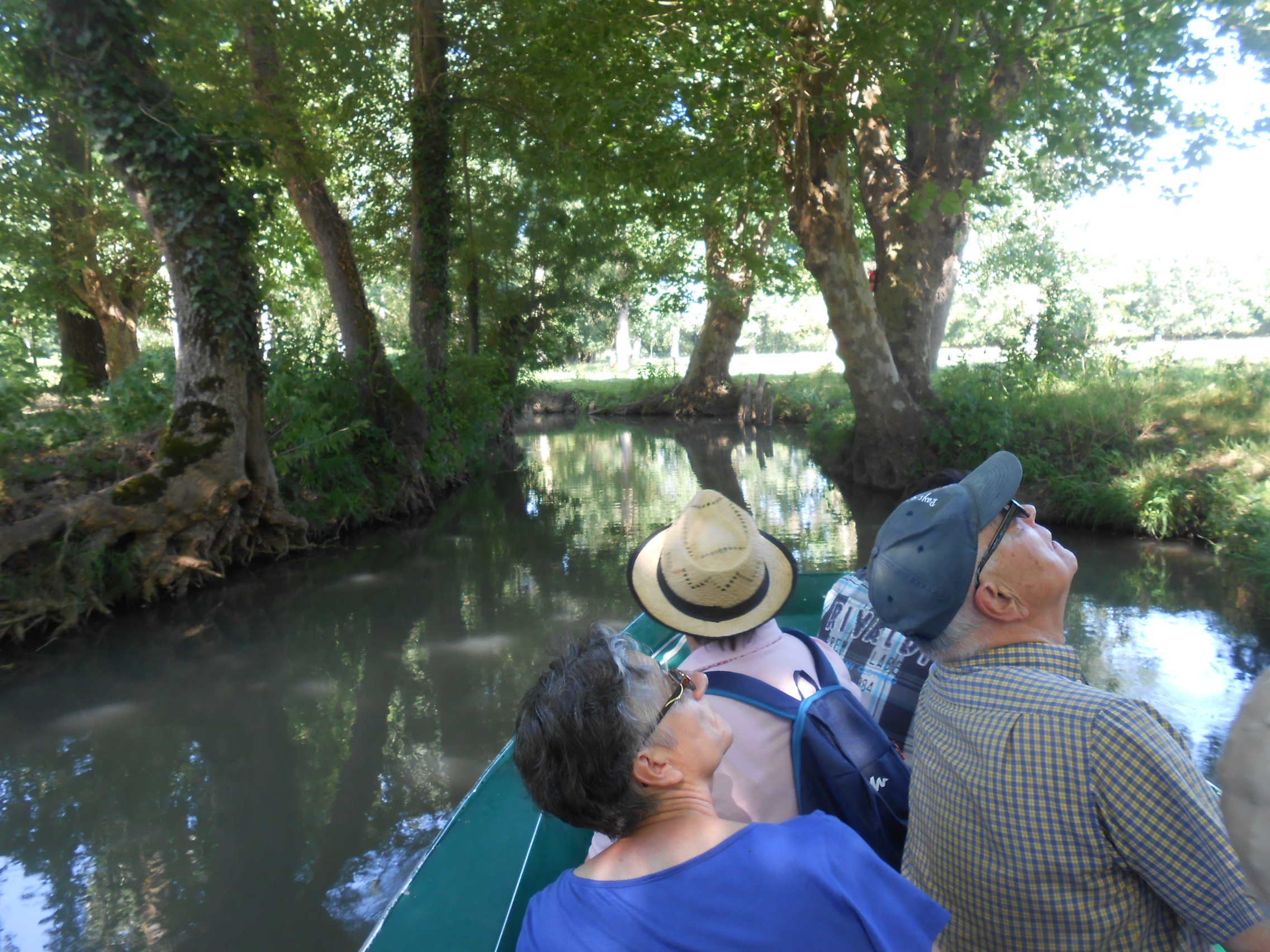 Voyage au Marais Poitevin