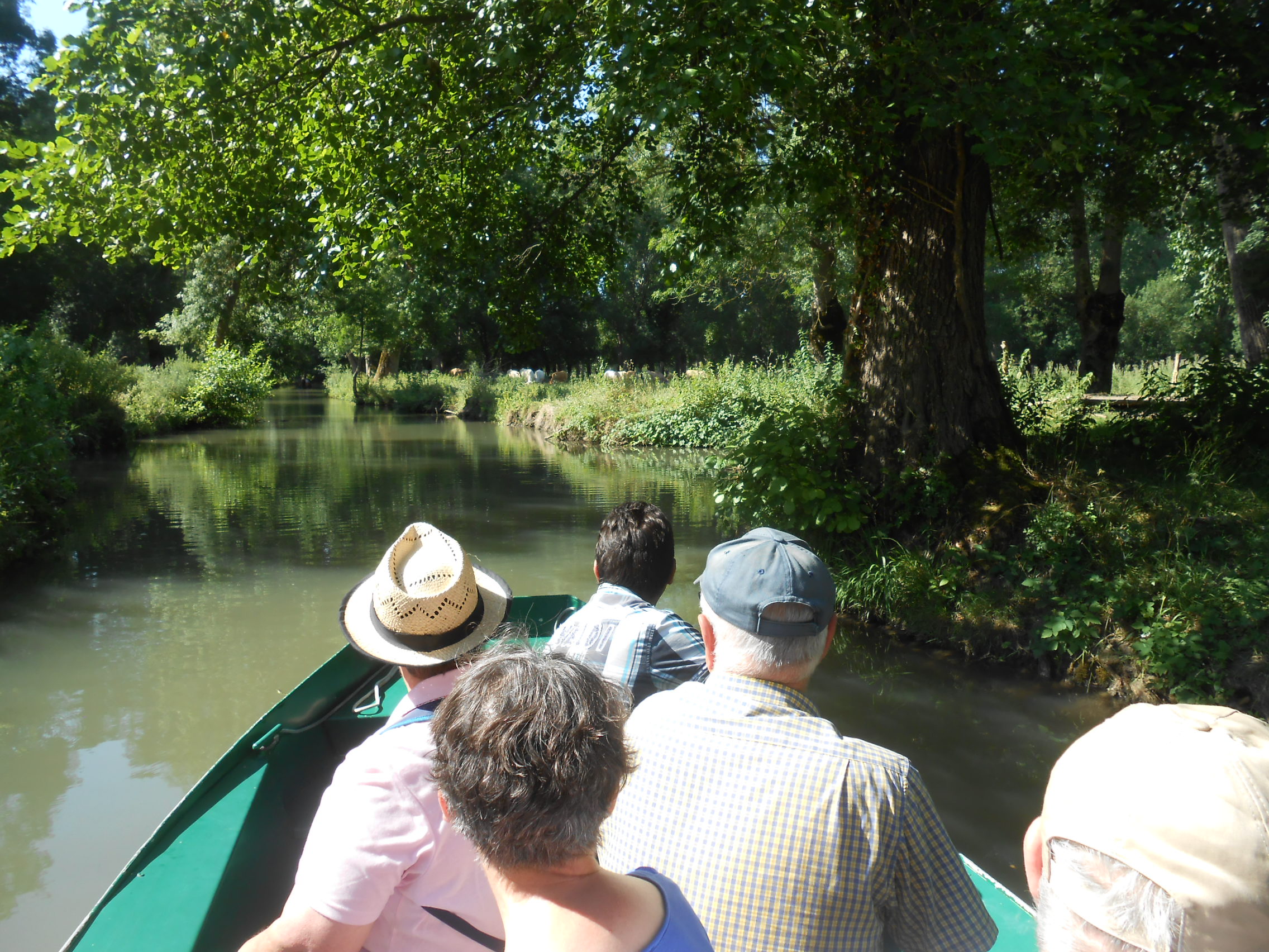 Voyage au Marais Poitevin