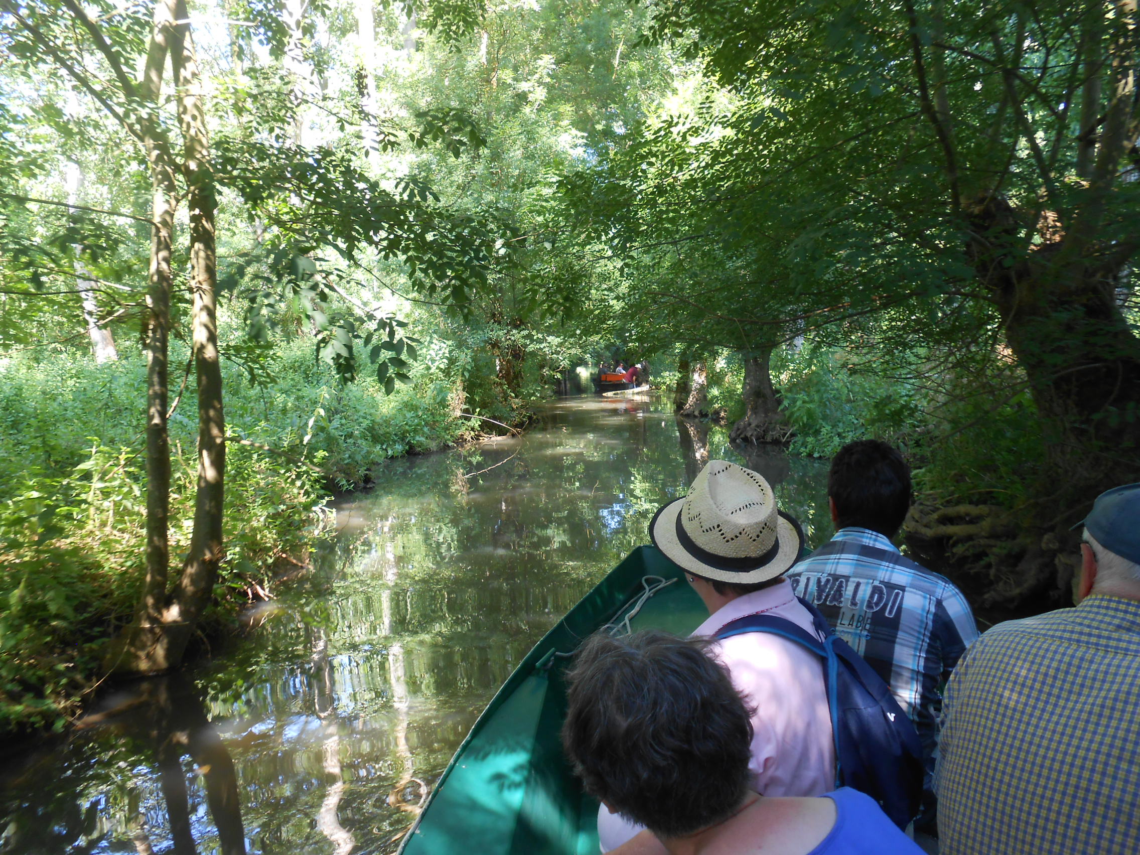 Voyage au Marais Poitevin