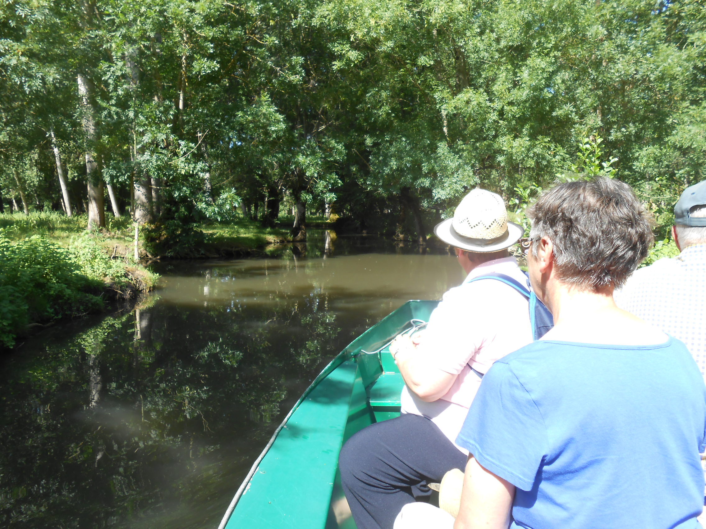 Voyage au Marais Poitevin