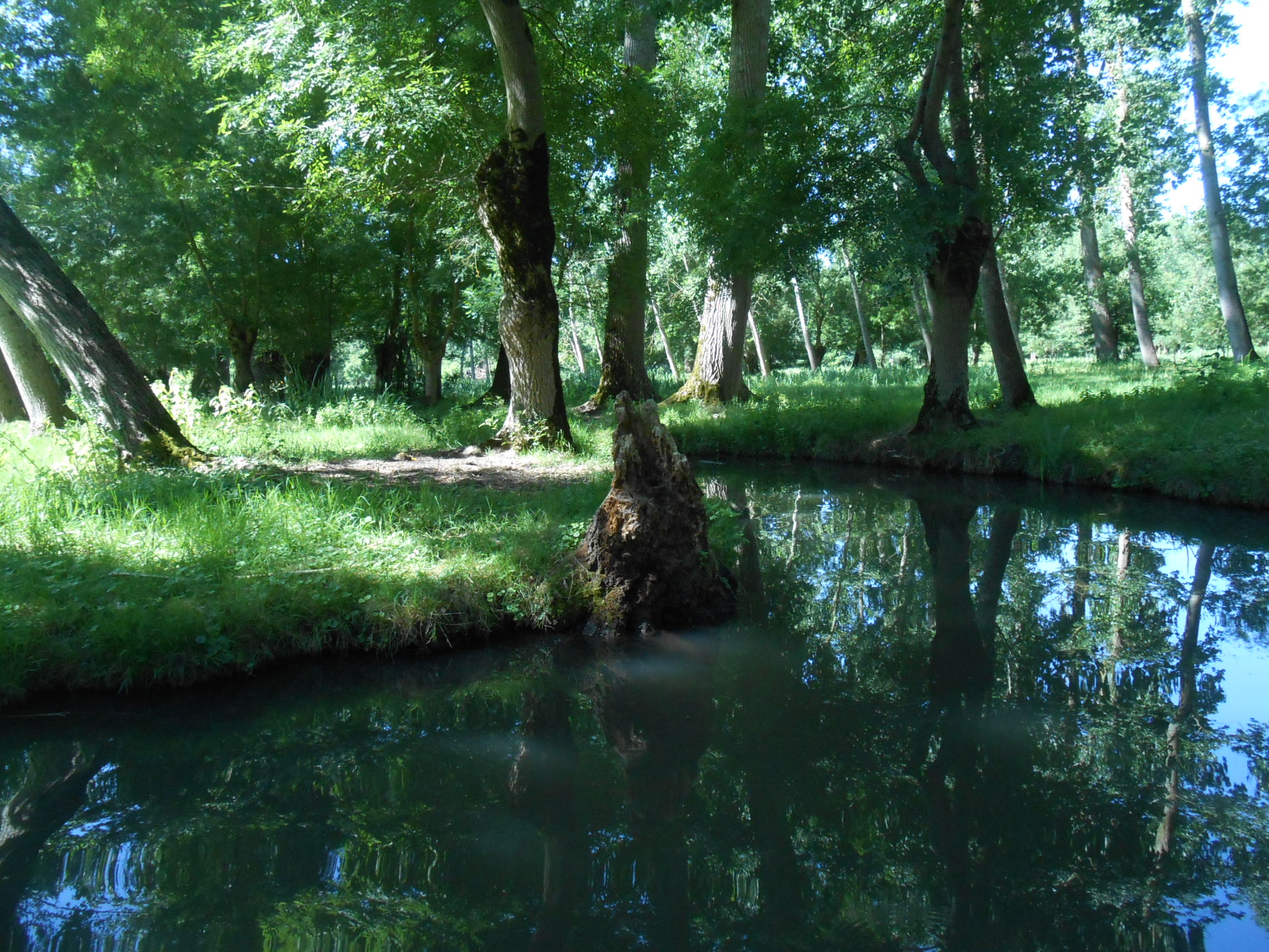 Voyage au Marais Poitevin