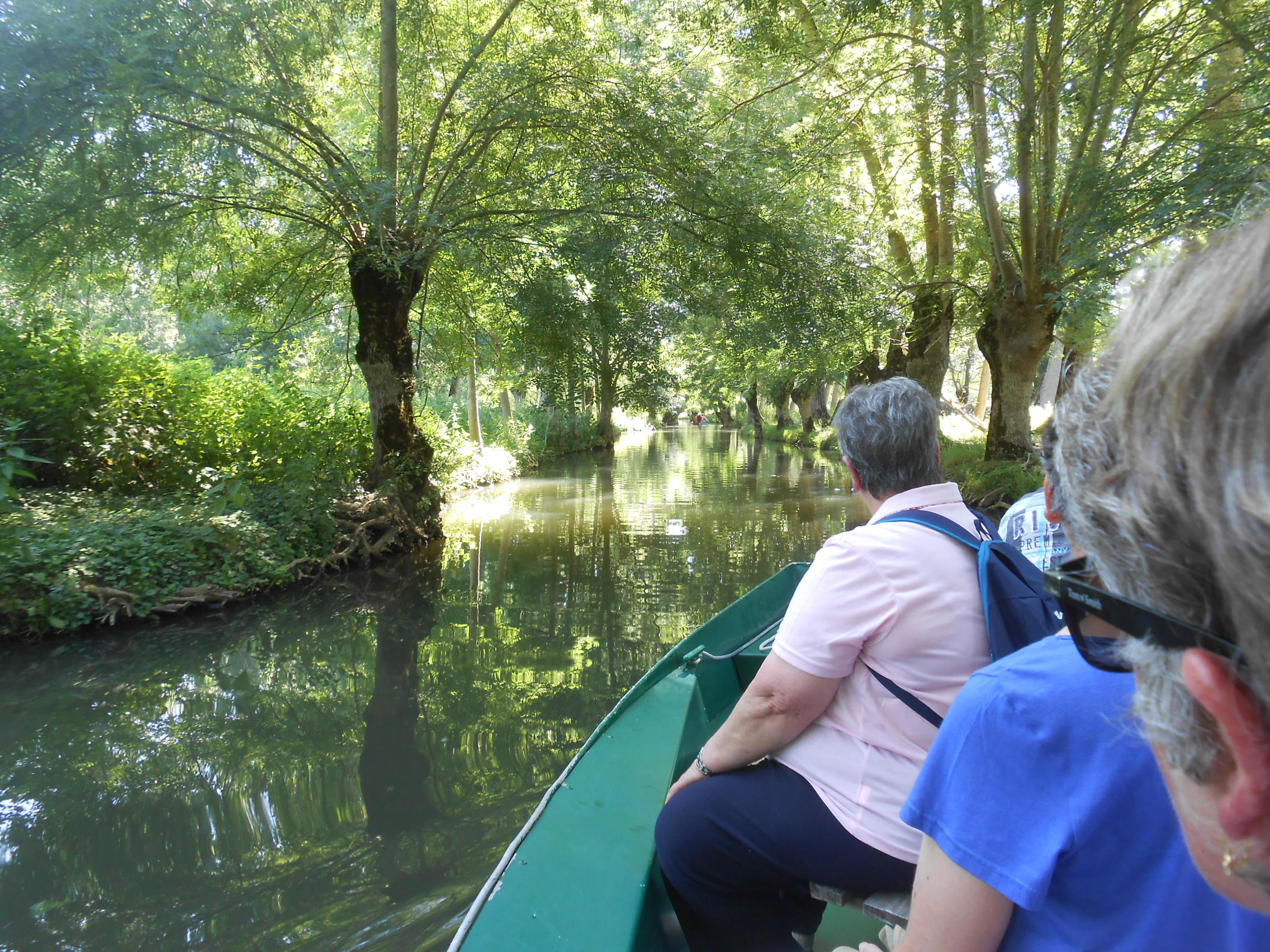 Voyage au Marais Poitevin