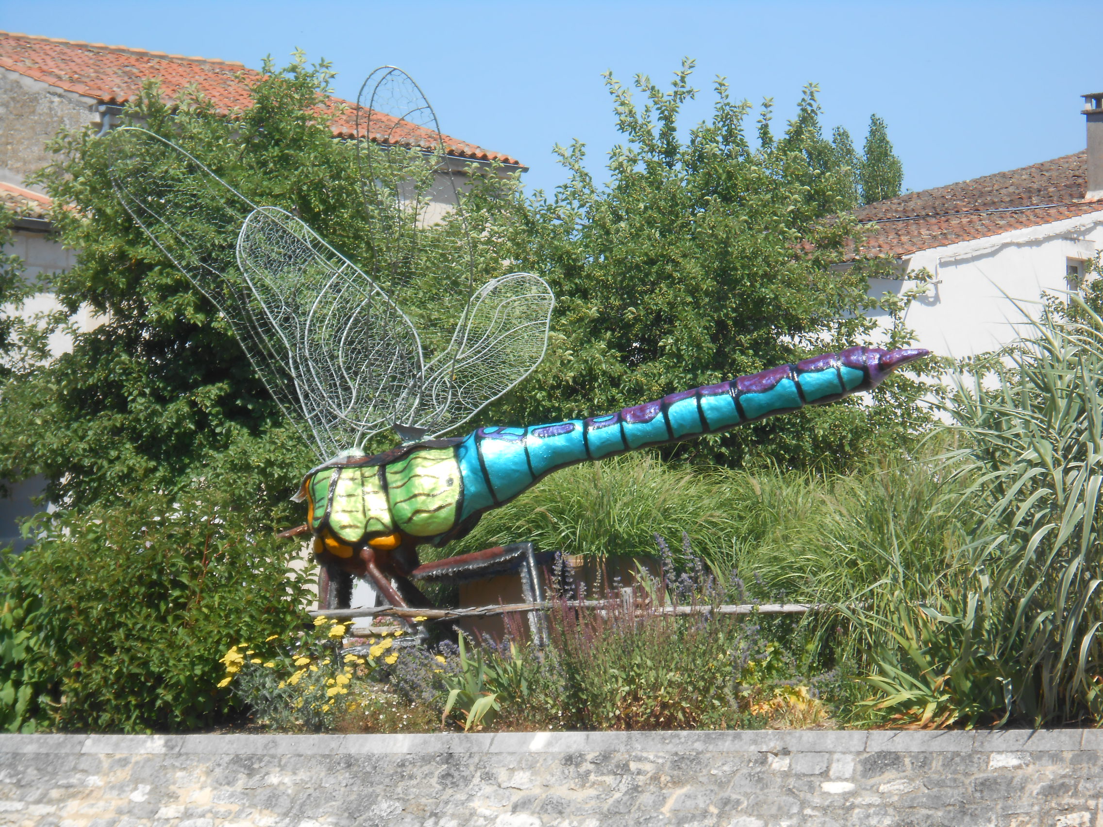 Voyage au Marais Poitevin