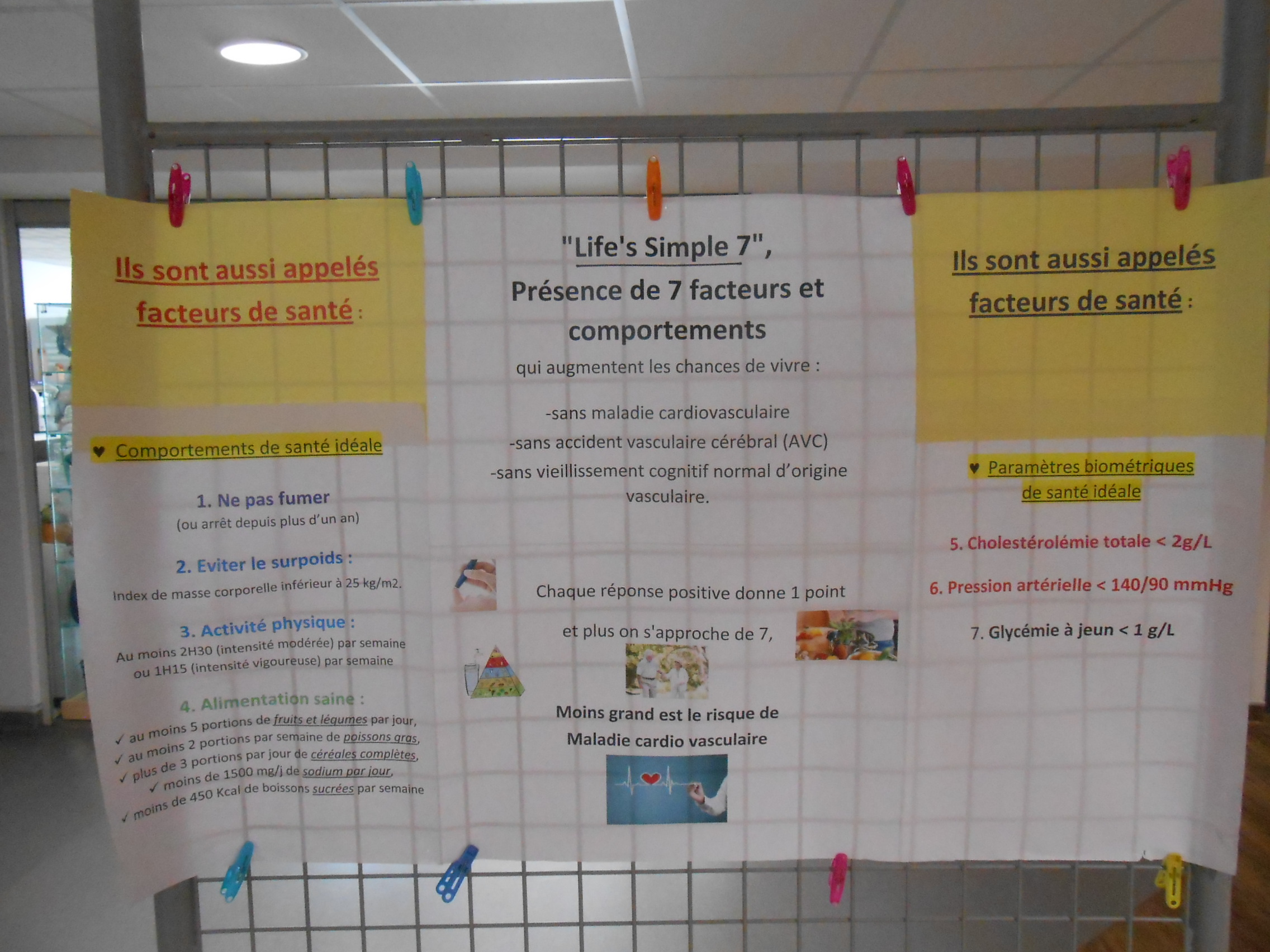 ATELIER INITIATION RCP